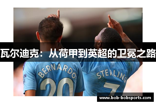 瓦尔迪克：从荷甲到英超的卫冕之路