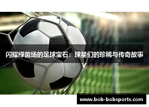 闪耀绿茵场的足球宝石：球星们的珍稀与传奇故事